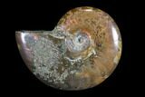Iridescent, Red Flash Ammonite - Madagascar #82439-1
